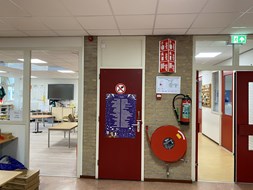 IMG_2347