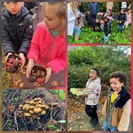 herfst1
